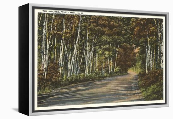 Birch Trees, White Mountains, New Hampshire-null-Framed Stretched Canvas