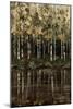 Birch Trees-Sydney Edmunds-Mounted Giclee Print