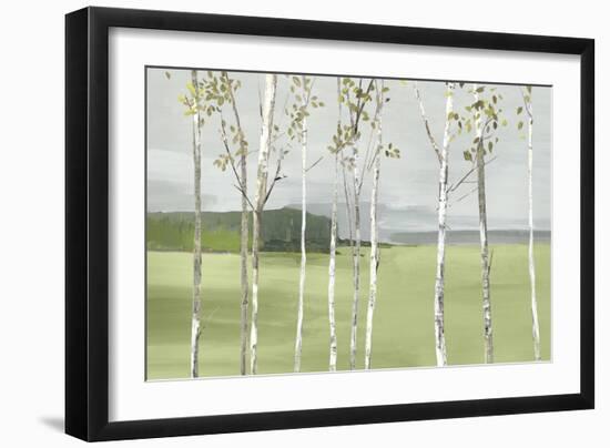 Birch Valley-Allison Pearce-Framed Art Print