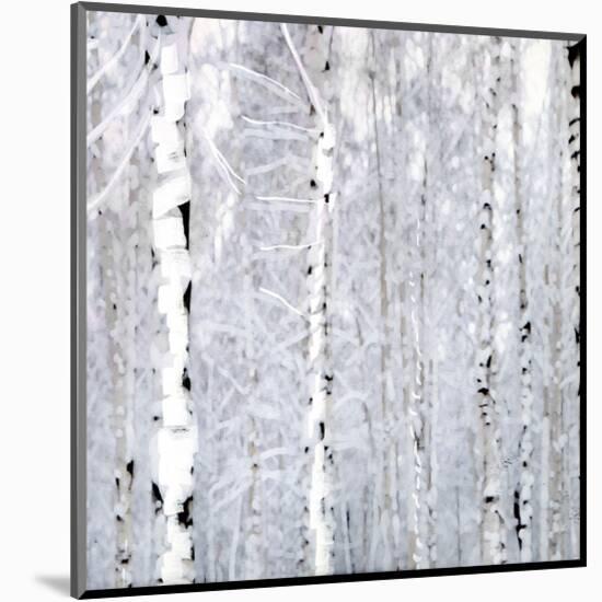 Birch Wonderland-Parker Greenfield-Mounted Art Print