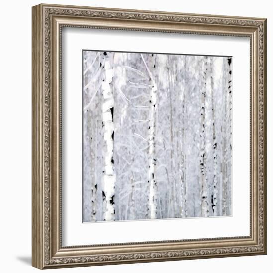 Birch Wonderland-Parker Greenfield-Framed Art Print