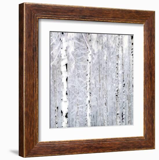 Birch Wonderland-Parker Greenfield-Framed Art Print