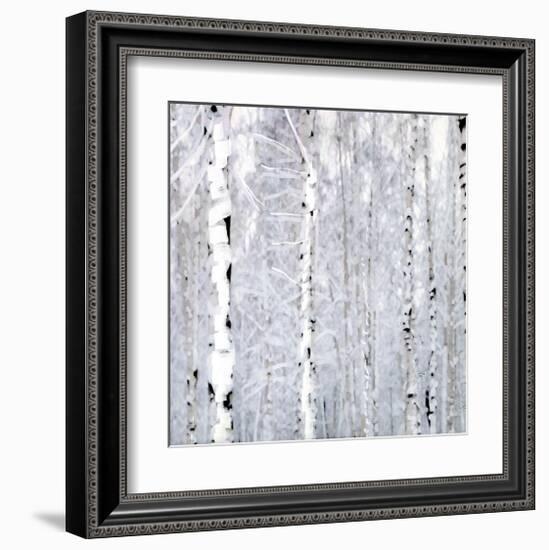 Birch Wonderland-Parker Greenfield-Framed Art Print