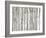 Birch Wood-PhotoINC-Framed Photographic Print