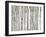 Birch Wood-PhotoINC-Framed Art Print