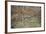 Birch-Cora Niele-Framed Photographic Print