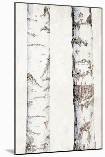 Birches 3-Ann Bailey-Mounted Art Print