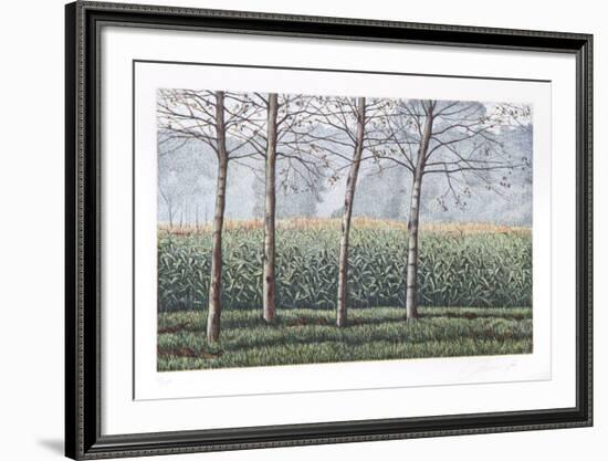 Birches and Corn Field-Oliviero Masi-Framed Collectable Print