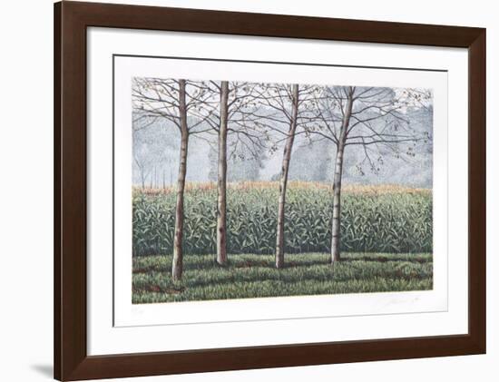 Birches and Corn Field-Oliviero Masi-Framed Collectable Print