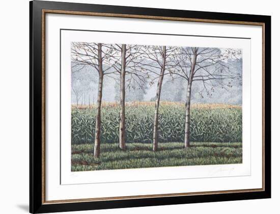 Birches and Corn Field-Oliviero Masi-Framed Collectable Print