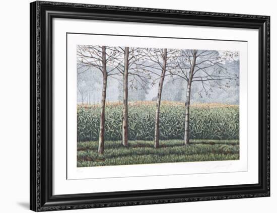 Birches and Corn Field-Oliviero Masi-Framed Collectable Print