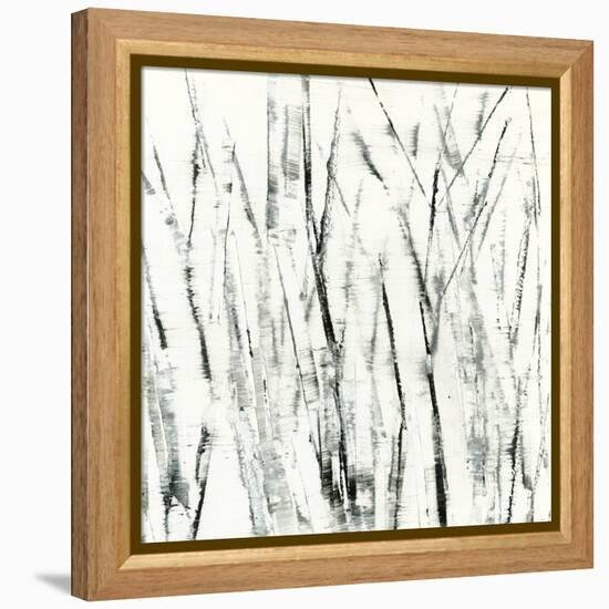 Birches I-Sharon Gordon-Framed Stretched Canvas