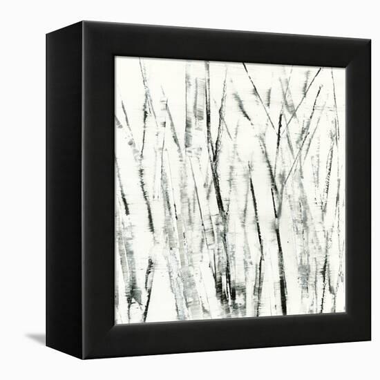 Birches I-Sharon Gordon-Framed Stretched Canvas