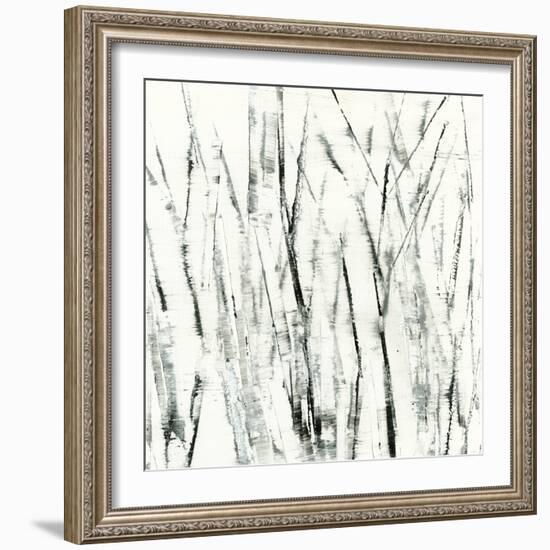 Birches I-Sharon Gordon-Framed Art Print