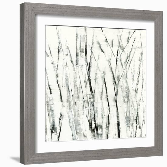 Birches I-Sharon Gordon-Framed Art Print