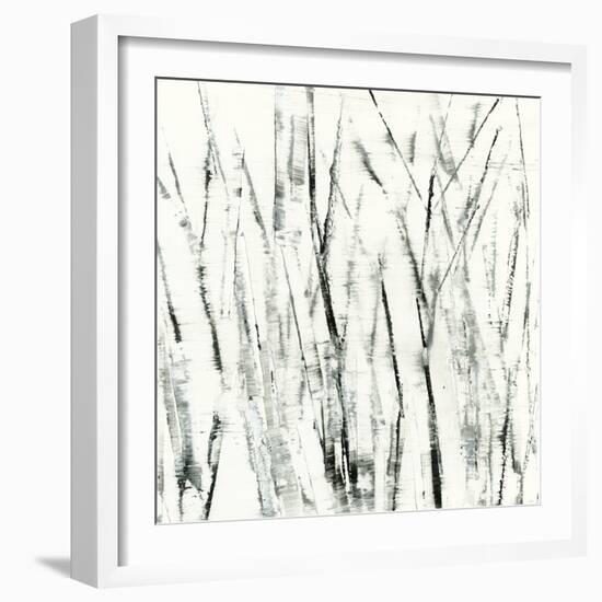 Birches I-Sharon Gordon-Framed Art Print