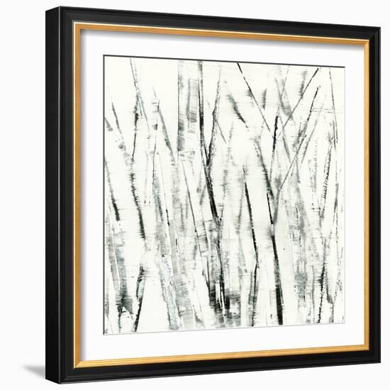 Birches I-Sharon Gordon-Framed Art Print