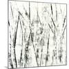 Birches II-Sharon Gordon-Mounted Premium Giclee Print