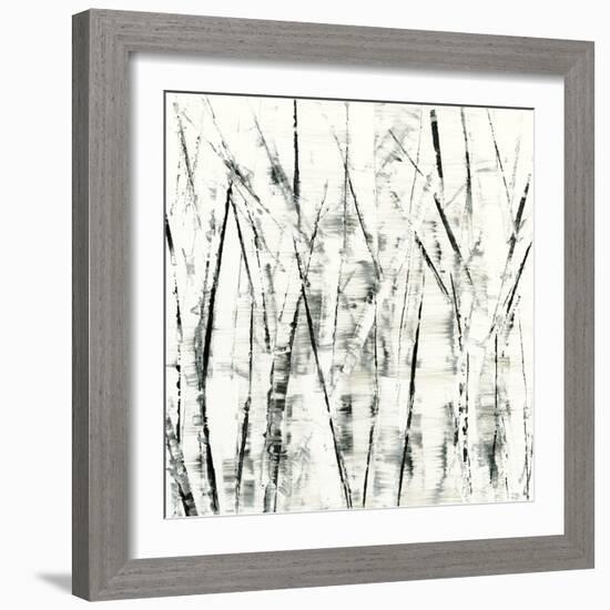 Birches II-Sharon Gordon-Framed Art Print