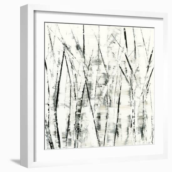 Birches II-Sharon Gordon-Framed Art Print