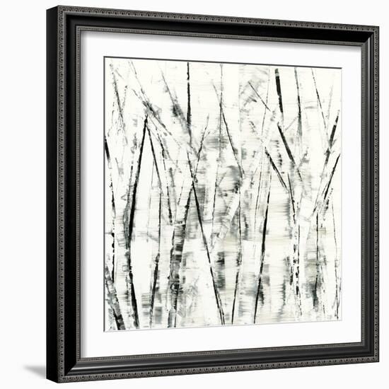 Birches II-Sharon Gordon-Framed Art Print