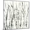 Birches II-Sharon Gordon-Mounted Premium Giclee Print