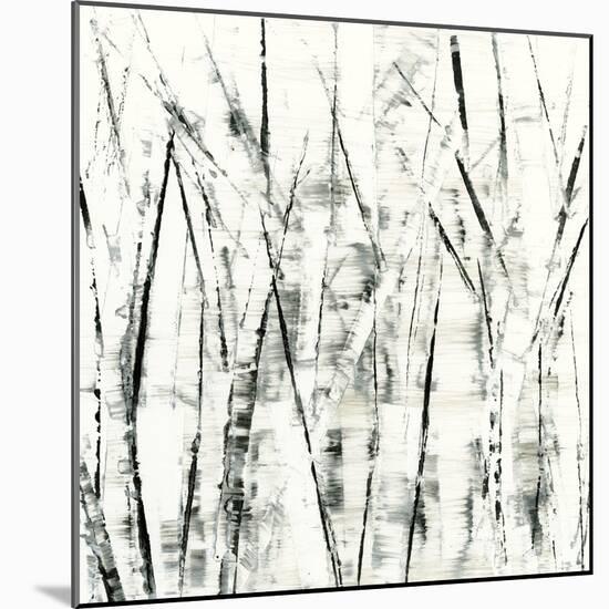 Birches II-Sharon Gordon-Mounted Premium Giclee Print