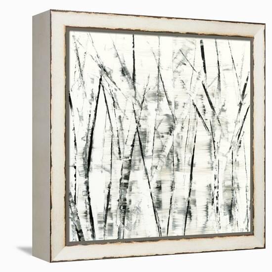 Birches II-Sharon Gordon-Framed Stretched Canvas