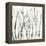 Birches II-Sharon Gordon-Framed Stretched Canvas