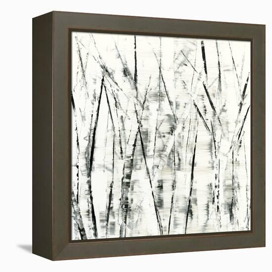 Birches II-Sharon Gordon-Framed Stretched Canvas