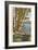 Birches, La Crosse, Wisconsin-null-Framed Art Print