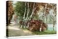 Stretched Canvas Print