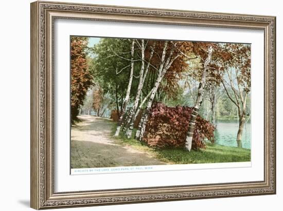 Birches, Lake Como Park, St. Paul, Minnesota-null-Framed Art Print