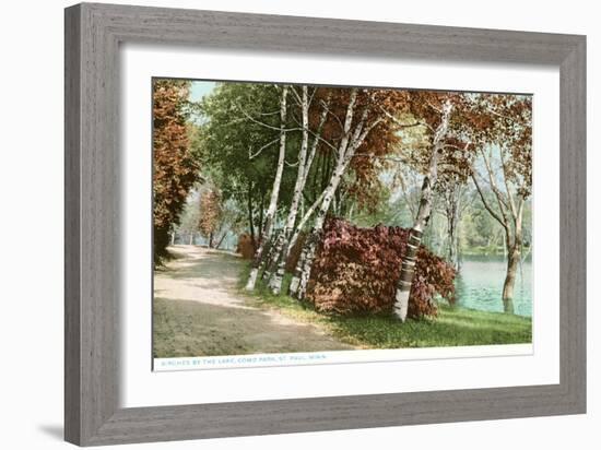 Birches, Lake Como Park, St. Paul, Minnesota-null-Framed Art Print