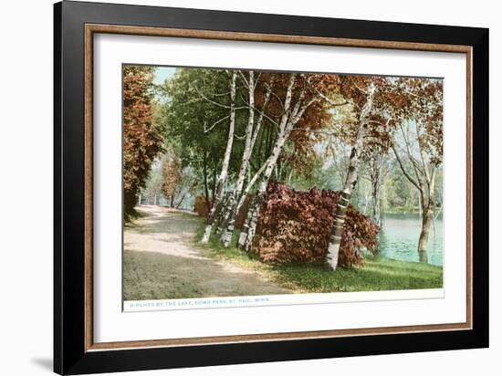 Birches, Lake Como Park, St. Paul, Minnesota-null-Framed Art Print