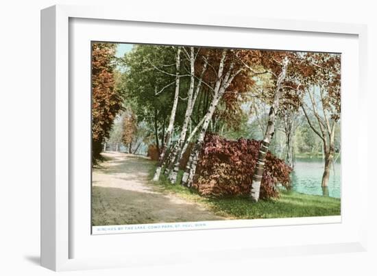 Birches, Lake Como Park, St. Paul, Minnesota-null-Framed Art Print