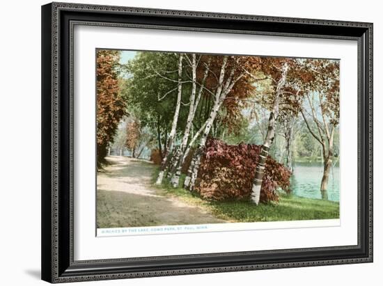 Birches, Lake Como Park, St. Paul, Minnesota-null-Framed Art Print