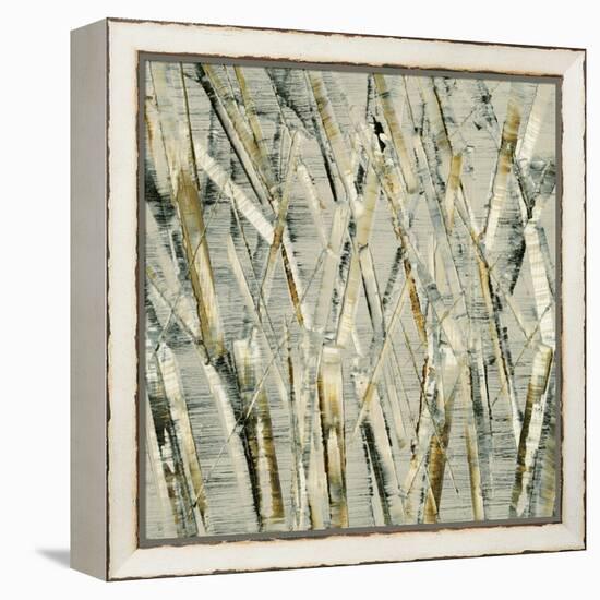 Birches V-Sharon Gordon-Framed Stretched Canvas