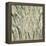 Birches V-Sharon Gordon-Framed Stretched Canvas