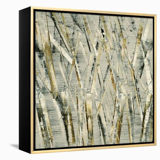 Birches V-Sharon Gordon-Framed Stretched Canvas
