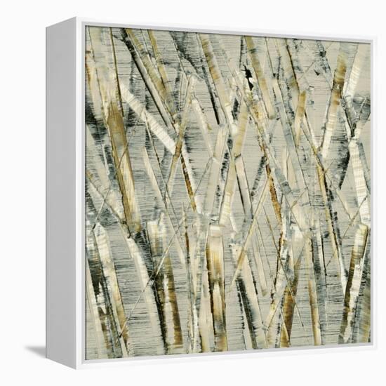 Birches V-Sharon Gordon-Framed Stretched Canvas