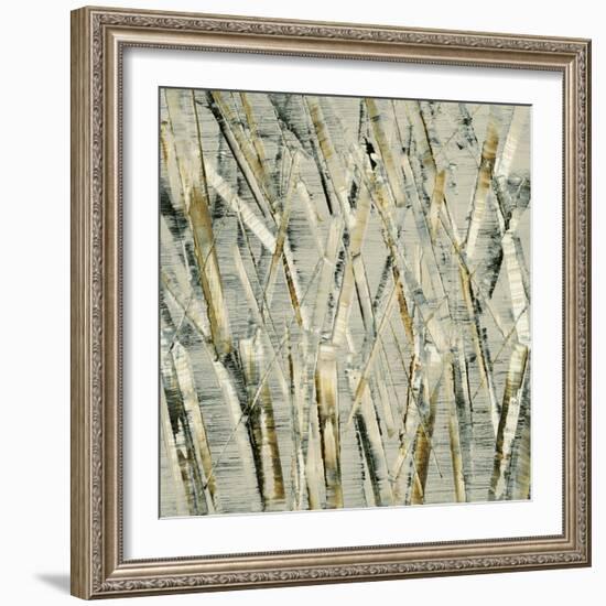 Birches V-Sharon Gordon-Framed Art Print