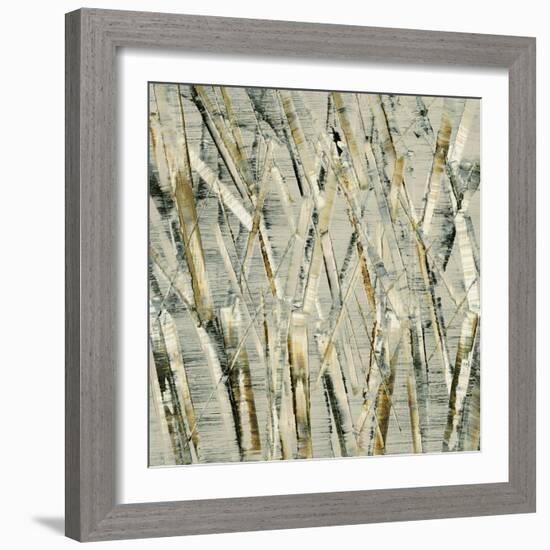 Birches V-Sharon Gordon-Framed Art Print