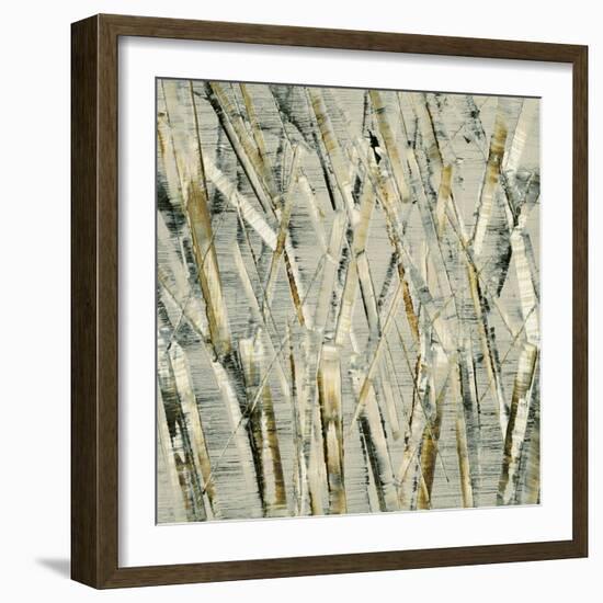 Birches V-Sharon Gordon-Framed Art Print