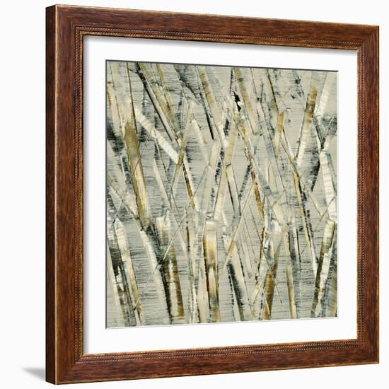 Birches V-Sharon Gordon-Framed Art Print