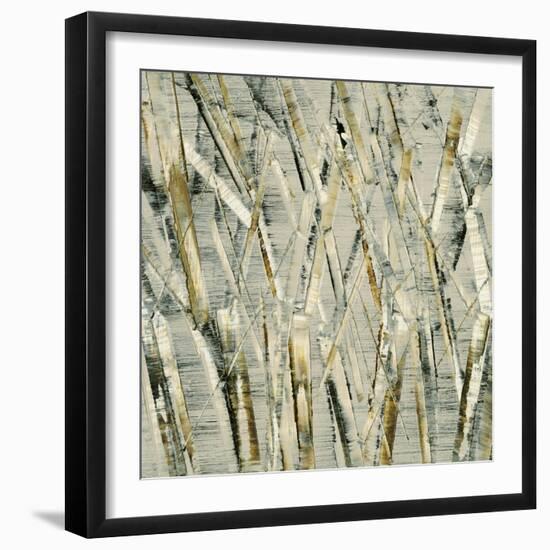 Birches V-Sharon Gordon-Framed Art Print