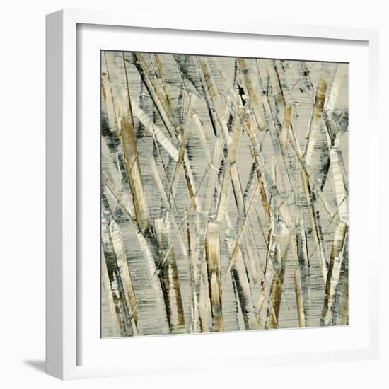 Birches V-Sharon Gordon-Framed Art Print