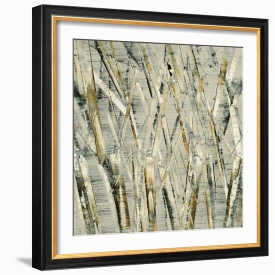 Birches V-Sharon Gordon-Framed Art Print