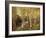 Birches-Eug?ne Boudin-Framed Giclee Print