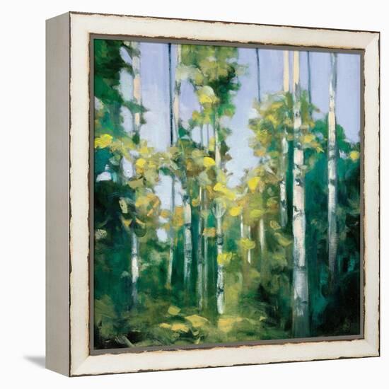 Birches-Julia Purinton-Framed Stretched Canvas